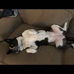 Meet your Posher, Nick